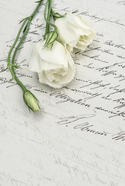 Antique handwritten love letter and flowers — Stock Photo, Image