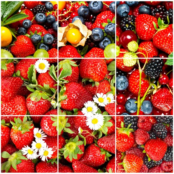 Mix van fruit en bessen. gezonde voeding concept — Stockfoto