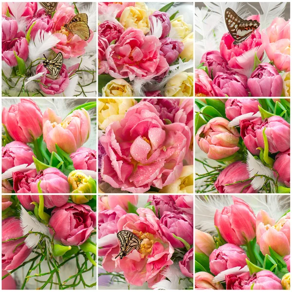 Tulp bloemen en mooie vlinders — Stockfoto