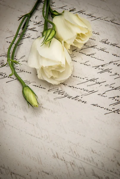 Carta de amor escrito à mão velha e flores brancas — Fotografia de Stock