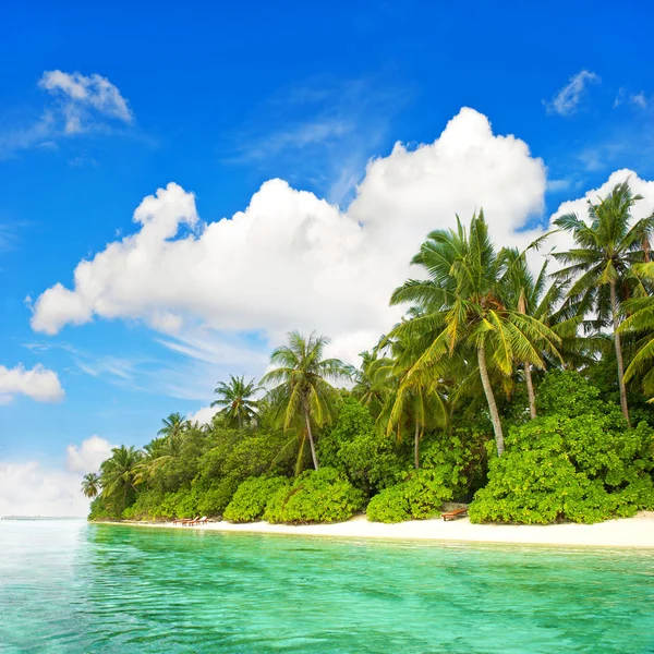 Tropical island beach. green palm trees and blue sky Stock Photo