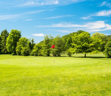 yeşil alan ve güzel mavi gökyüzü. Golf Sahası