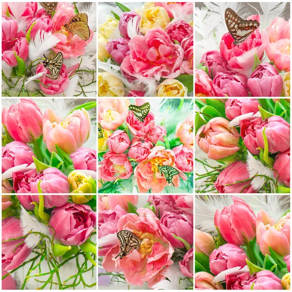 Pink tulip flowers and beautiful butterflies — Stock Photo, Image