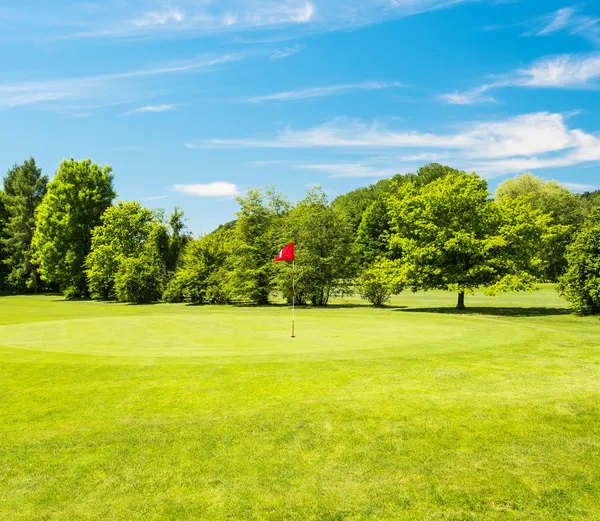 Зеленое поле и красивое голубое небо. поле для гольфа — стоковое фото
