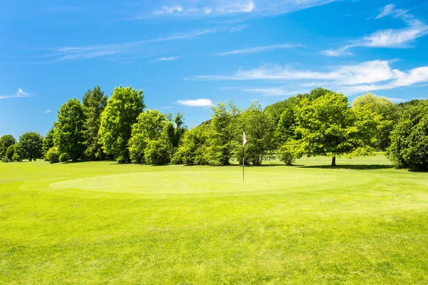 yeşil alan ve güzel mavi gökyüzü. Avrupa peyzaj