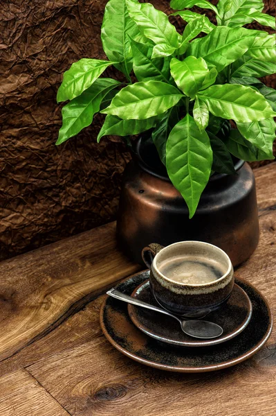 Černá káva a čerstvé kávy rostlin na dřevěný stůl — Stock fotografie