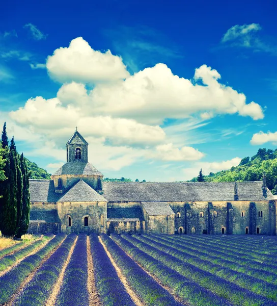 Abbazia di Senanque con campo di lavanda, punto di riferimento della Provenza, Vauclu — Foto Stock