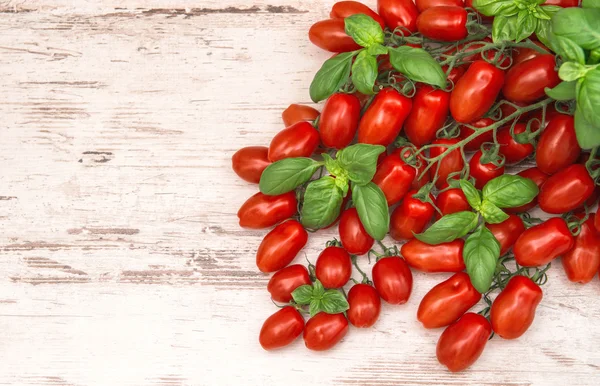 Черри помидоры и листья базилика. Продукты питания — стоковое фото