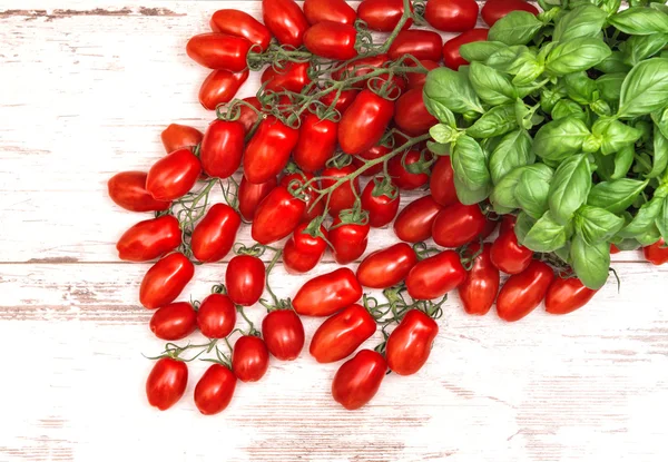 Fresh basil herb and cherry tomatoes. food background — Stock Photo, Image