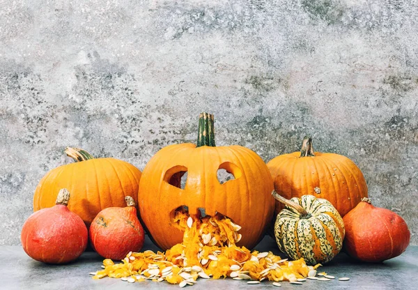 Divertente Zucca Decorazione Halloween Sfondo Grigio — Foto Stock