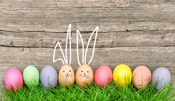 Πασχαλινά Αυγά Χαριτωμένο Κουνέλι Διακόσμηση Διακοπές Φόντο Καλό Πάσχα — Φωτογραφία Αρχείου