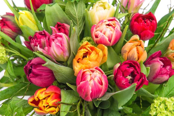 Tulipán Virágok Zöld Levelekkel Virágos Háttér — Stock Fotó