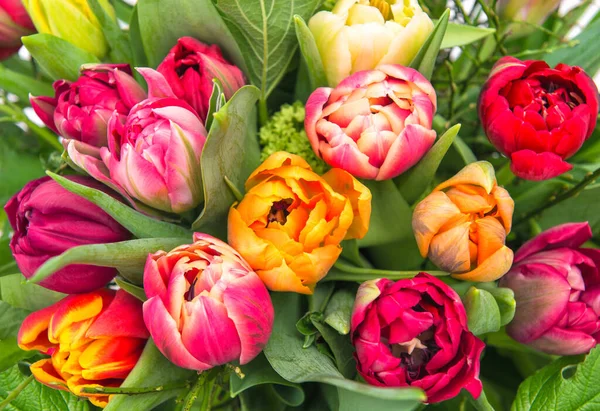 Flores Tulipán Rojo Rosado Amarillo Con Hojas Verdes Decoración Floral — Foto de Stock