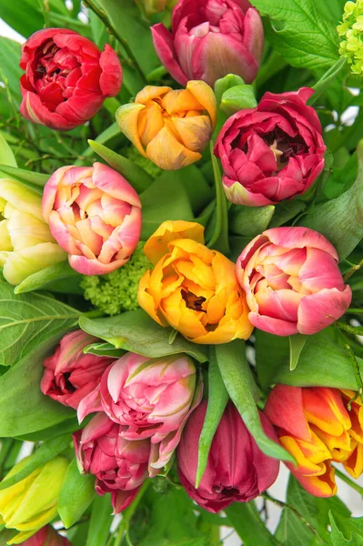 Kolorowe Kwiaty Tulipan Czerwony Różowy Żółty Zielonymi Liśćmi Tło Kwiatowe — Zdjęcie stockowe