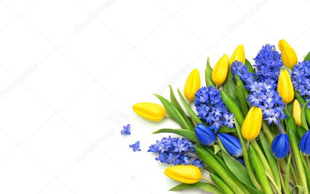Yellow blue tulip and hyacinth flowers bouquet. Spring floral background
