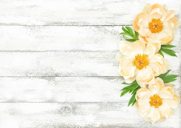 Peony Flowers Bright Wooden Background — Fotografia de Stock