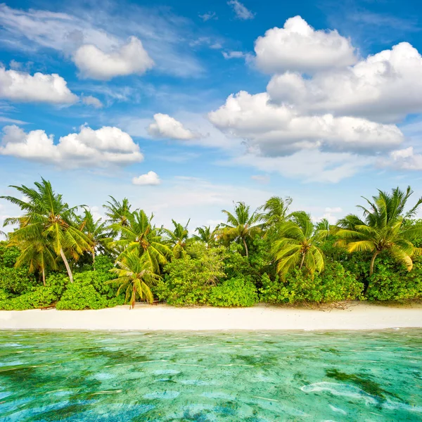 Letní Prázdniny Písečná Pláž Palmy Zatažená Modrá Obloha Tropické Ostrovní — Stock fotografie