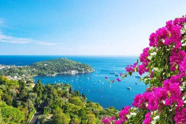Akdeniz manzarası var. Rhododendron çiçekleriyle yaz tatili geçmişi