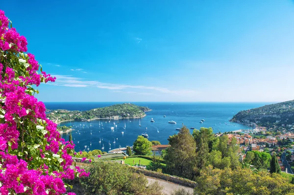 Mediterranean Sea Panoramic View Summer Vacation Background Rhododendron Flowers — Stockfoto