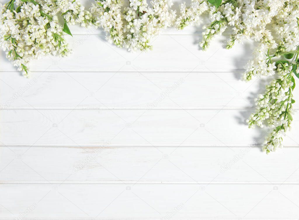 White lilac flowers on white washed wooden background