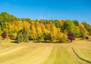 Autumn landscape with yellow and red trees and blue sky. Countryside nature background