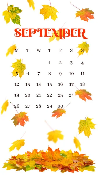 Шаблон Календаря Сентябрь 2022 Года История Осенней Осени Шаблон Instagram — стоковое фото