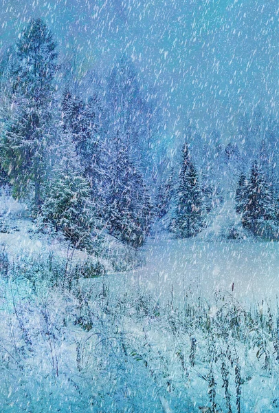Gyönyörű Téli Táj Fák Hóesténként Gyönyörű Téli Lucfenyő Hóerdő Karácsonyi — Stock Fotó