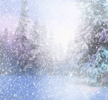 Yeni yıl için şenlikli bir zemin. Kar ormanlarında düşen ağaçlar, kar yığınları içinde kaybolan ağaçlar.