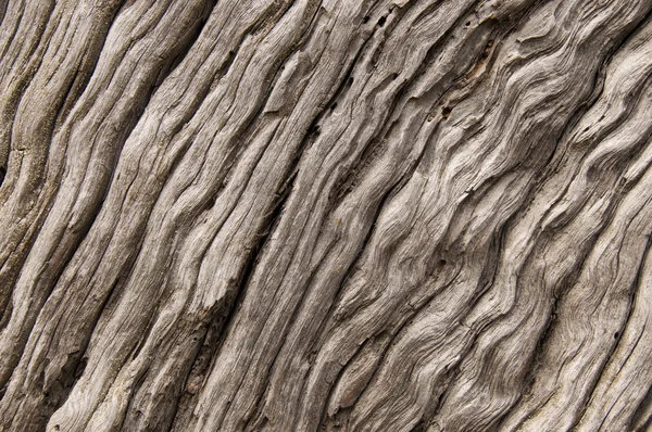 Old wood texture — Stock Photo, Image