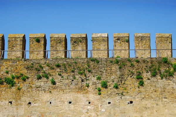 Fortaleza de pared con lagunas —  Fotos de Stock