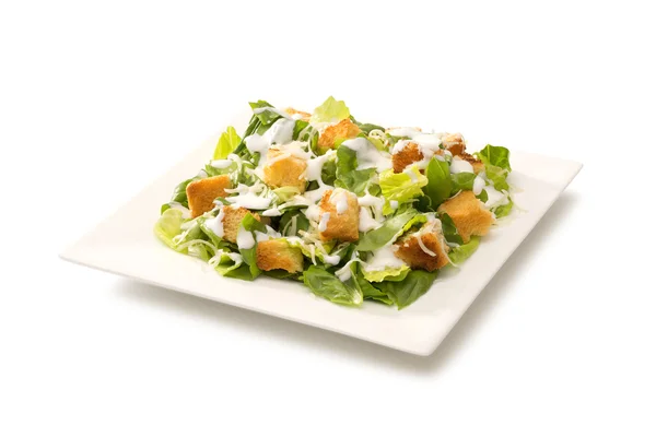 Salată Cezar într-o farfurie albă — Fotografie, imagine de stoc