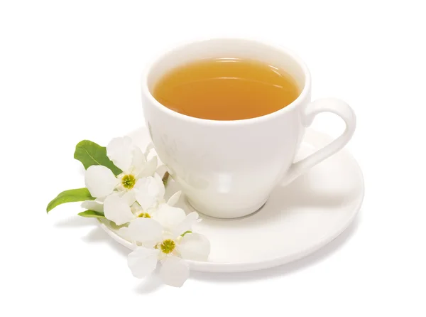 Зеленый чай и жасмин — стоковое фото