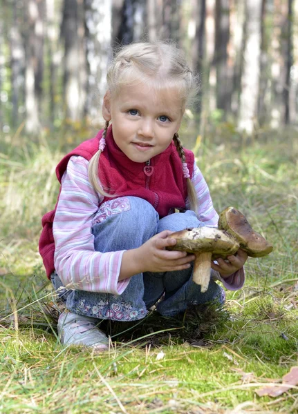 Little girl gathers mushrooms in the forest — Stock Photo, Image