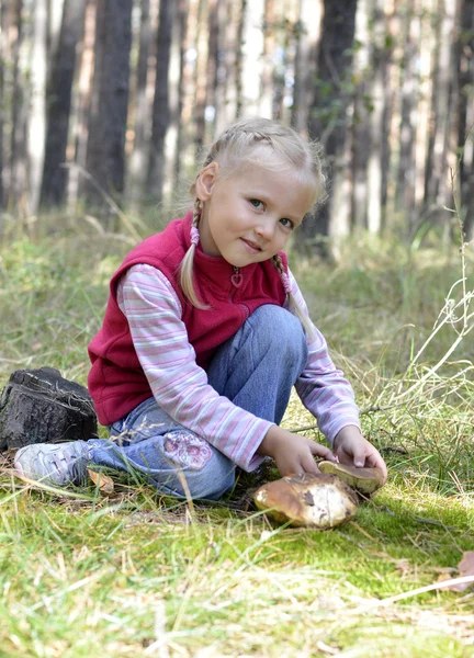 Little girl gathers mushrooms in the forest — Stock Photo, Image