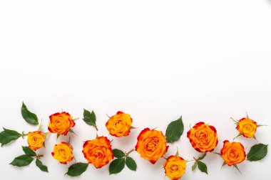 Çiçek kompozisyonu. Gül çiçeklerinden yapılmış çerçeve ve beyaz arka planda yeşil yapraklar. Anneler günü, kadınlar günü konsepti. Düz yatış, üst görünüm