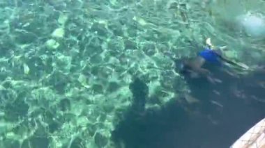 Beyaz adam turkuaz deniz suyunda yüzüyor. Yukarıdan görüntüle