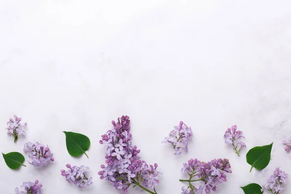 Beautiful flower background with lilac flowers and green leaves. Mothers day, womens day concept. Copy space for your congratulations Stock Image