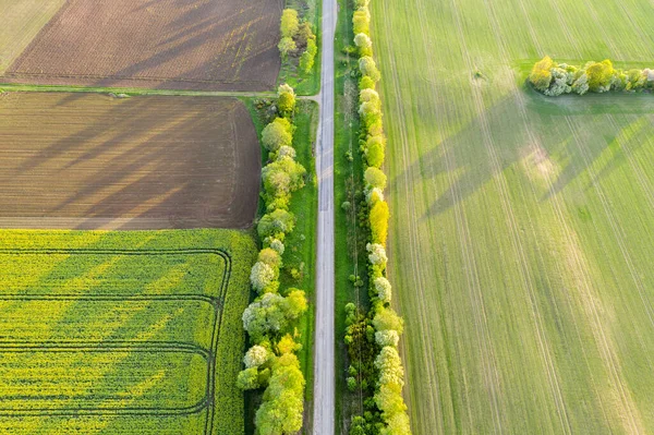 Prázdná Venkovská Cesta Slunné Jarní Večer Zelená Louka Hnědá Zemědělská Stock Snímky