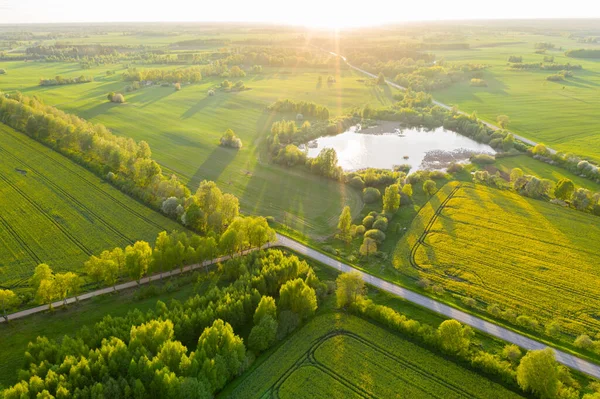 Vzdálený Letecký Pohled Zemědělskou Půdu Poli Řepky Rybníkem Slunném Jarním Stock Obrázky