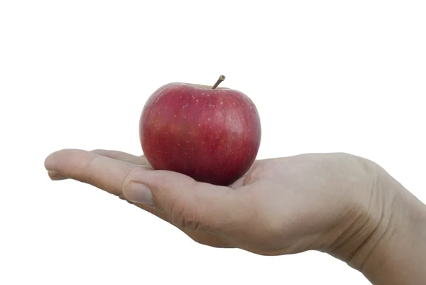Manzana roja acostada en la palma — Foto de Stock