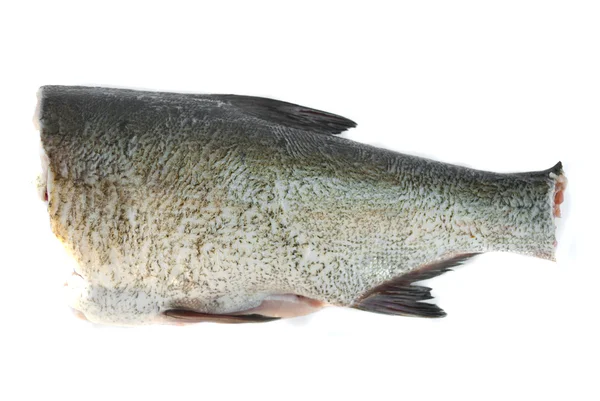 Rå fisk — Stockfoto