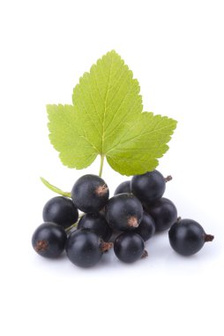 Siyah frenk üzümü ve yaprak yeşil