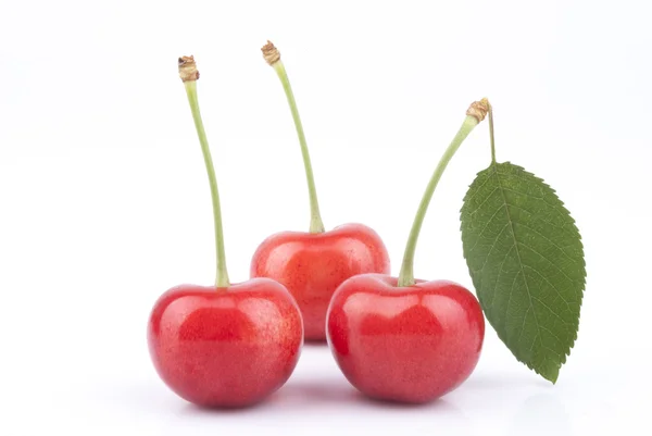 Red cherries isolated on white background — Stock Photo, Image