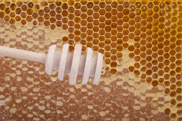 Dřevěnou lžící medu na plástve — Stock fotografie