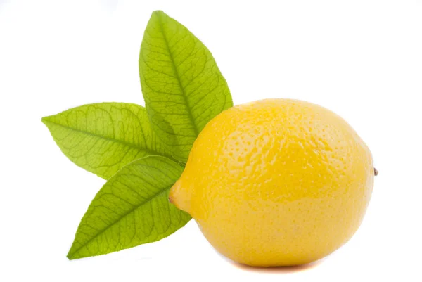 Лимон с листьями — стоковое фото