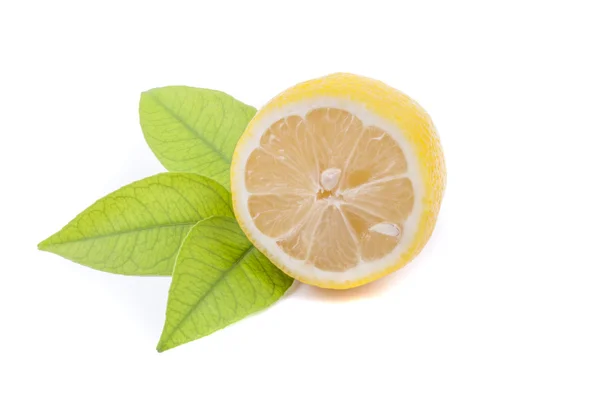 Половина лимона с листьями . — стоковое фото
