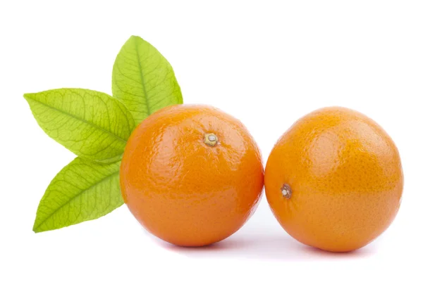 Duas tangerinas com folha verde — Fotografia de Stock