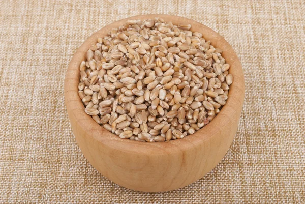 Wheat grains in a plate. — Stock Photo, Image