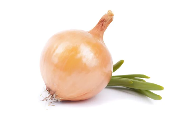 Onions on a white background. — Stock Photo, Image