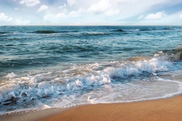 Playa y surf —  Fotos de Stock